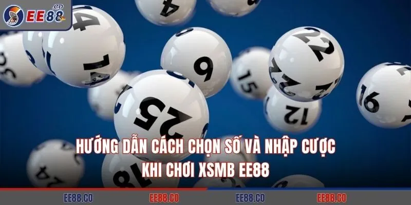 Hướng dẫn cách chọn số và nhập cược khi chơi XSMB EE88